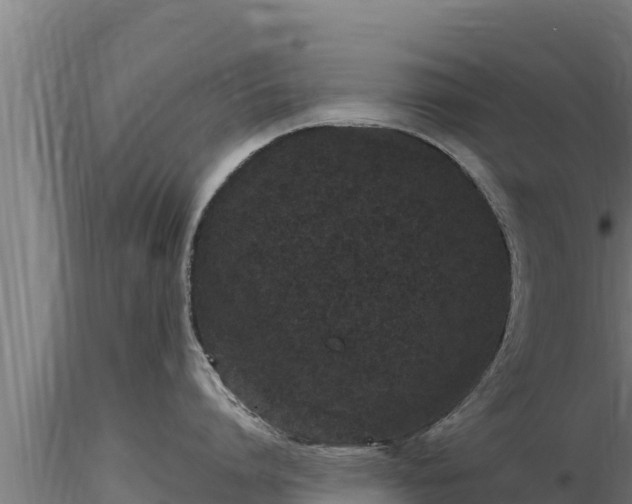 X0000116770864200912241202