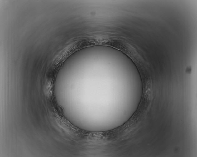 X0000116770866200912241201
