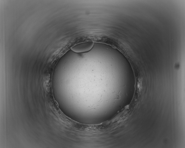 X0000116770867200912241201