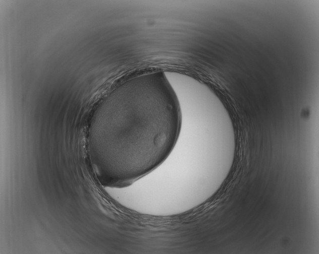 X0000116770868200912241201