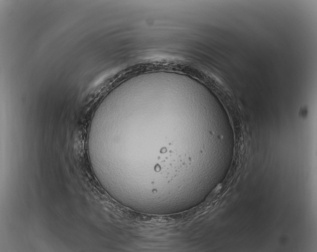 X0000116770869200912241201