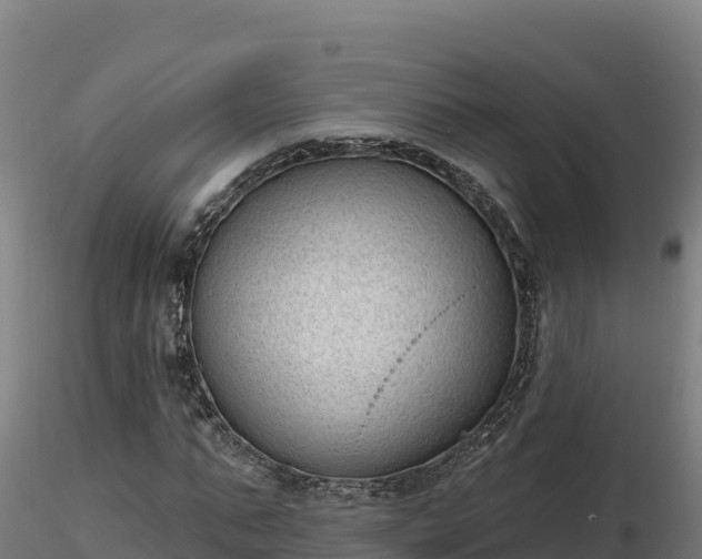 X0000116770871200912241201
