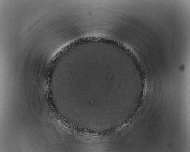 X0000116770872200912241201