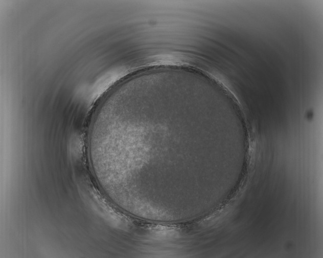 X0000116770874200912241201