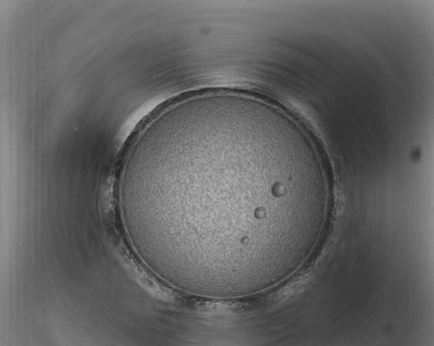 X0000116770875200912241201