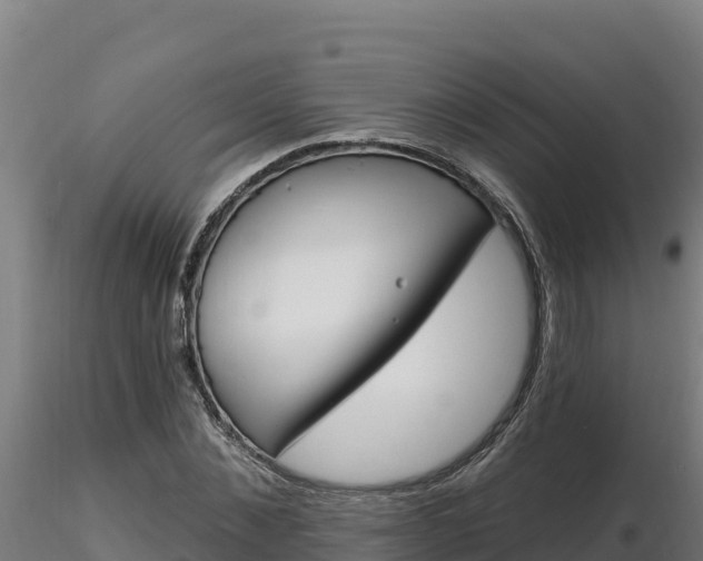 X0000116770876200912241201