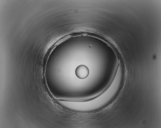 X0000116770877200912241201