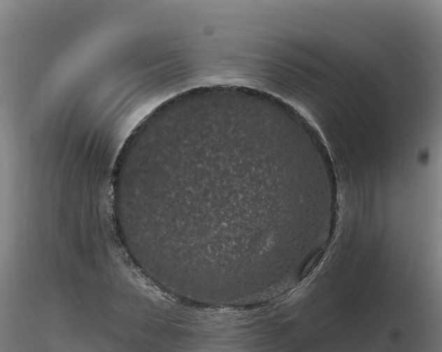 X0000116770879200912241201
