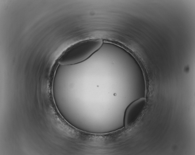 X0000116770880200912241201