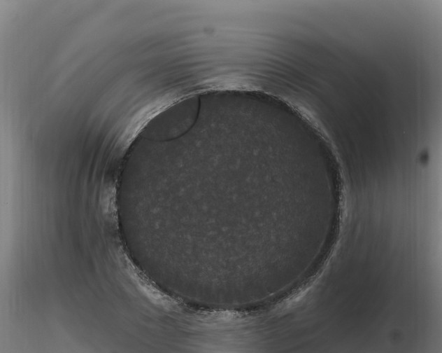 X0000116770881200912241201