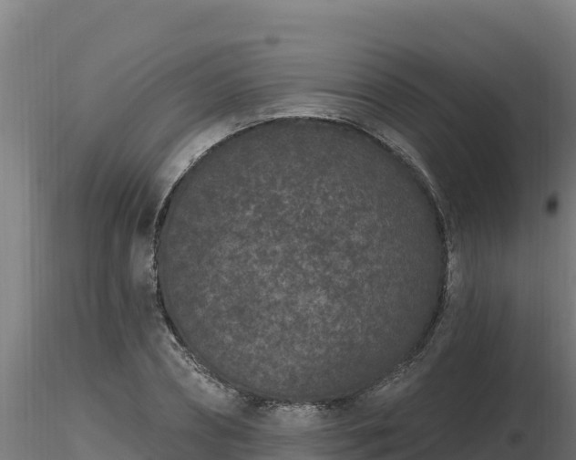 X0000116770882200912241201
