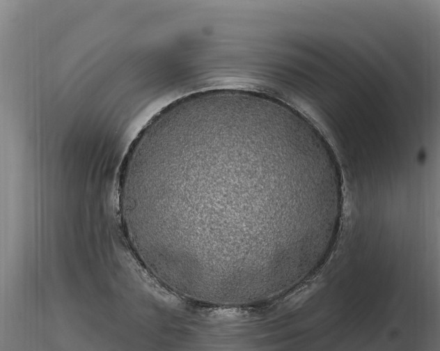 X0000116770883200912241201