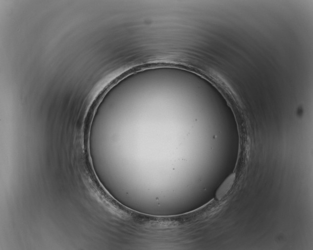 X0000116770884200912241201