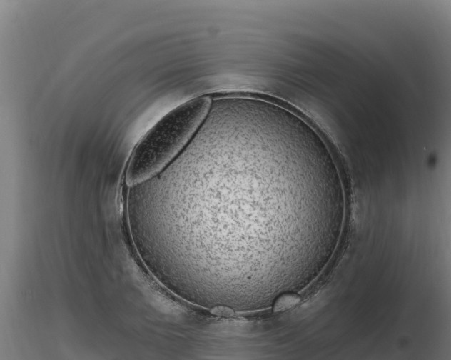 X0000116770885200912241201