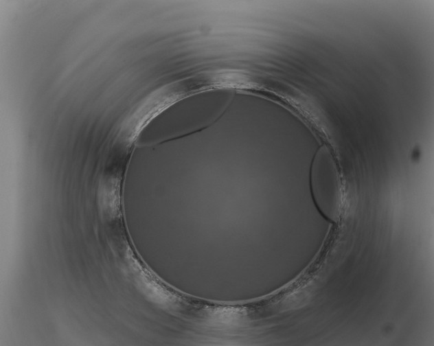 X0000116770889200912241201