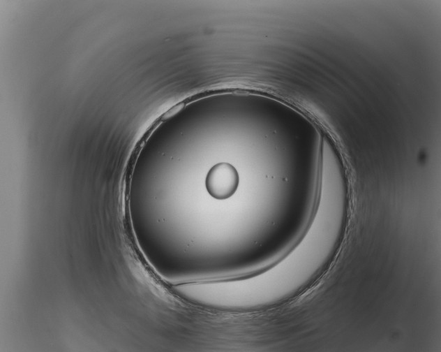 X0000116770892200912241201