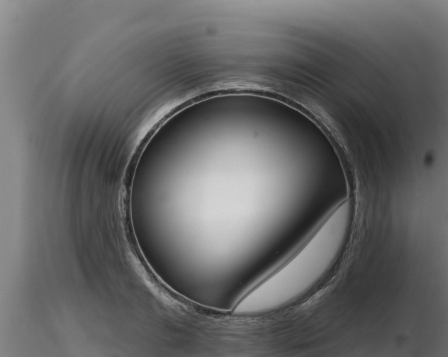 X0000116770893200912241201