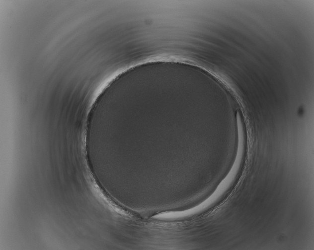 X0000116770896200912241201