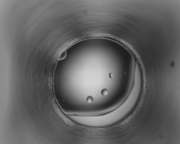 X0000116770897200912241201