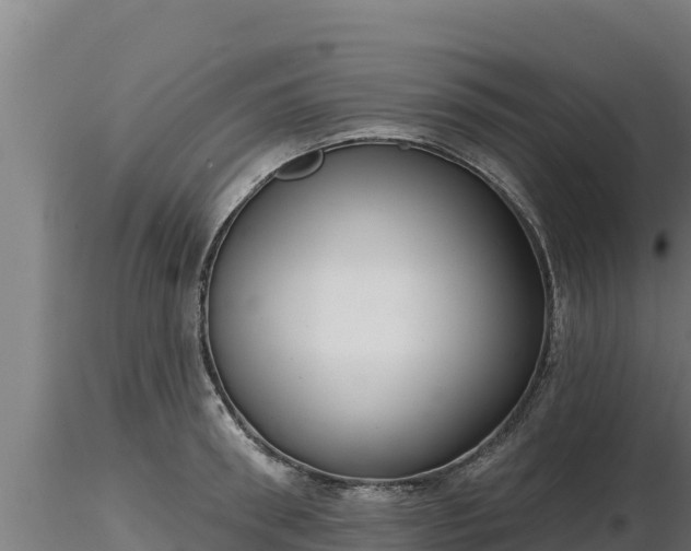 X0000116770898200912241201