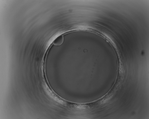 X0000116770899200912241201