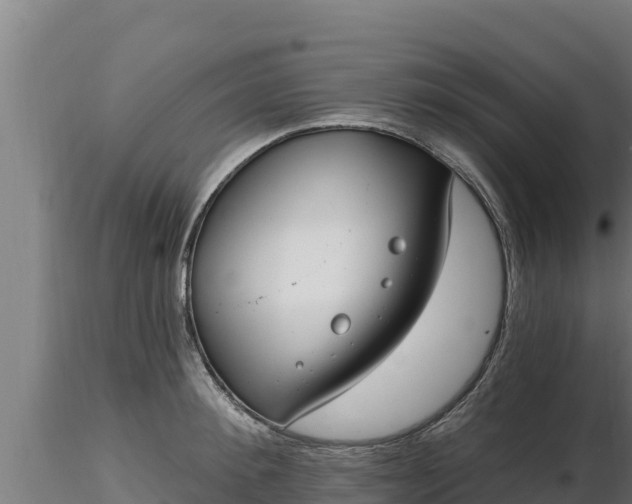 X0000116770900200912241201