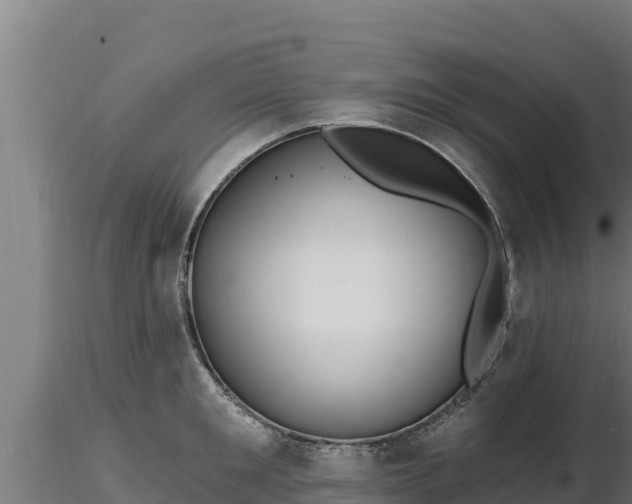 X0000116770901200912241201