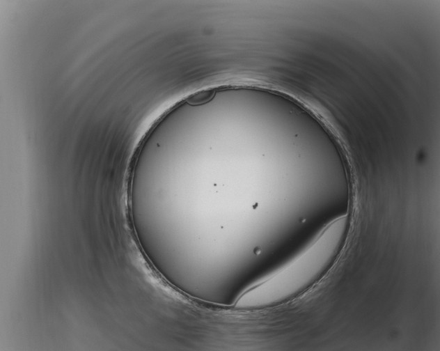 X0000116770904200912241201