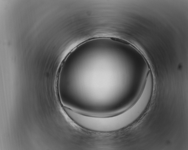 X0000116770909200912241201
