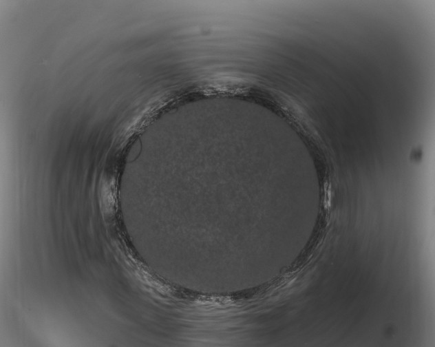 X0000116770915200912241200