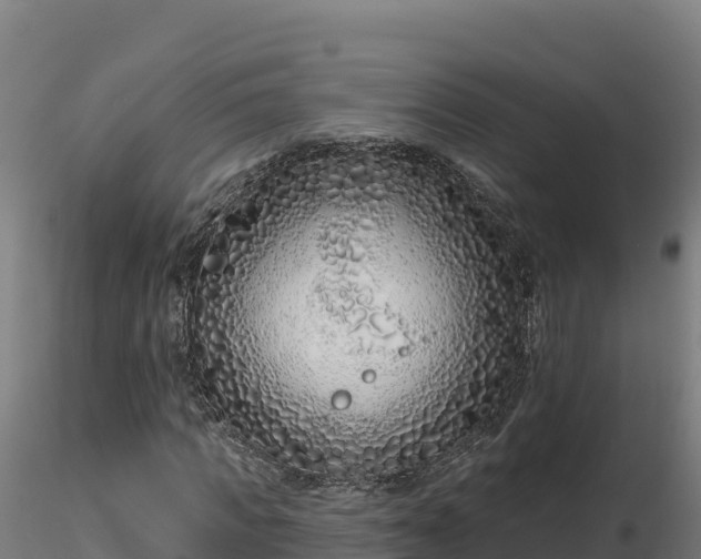 X0000116770917200912241200