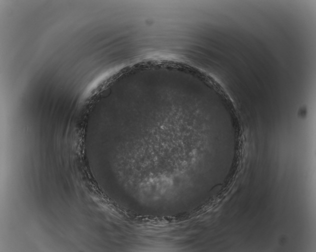 X0000116770919200912241200