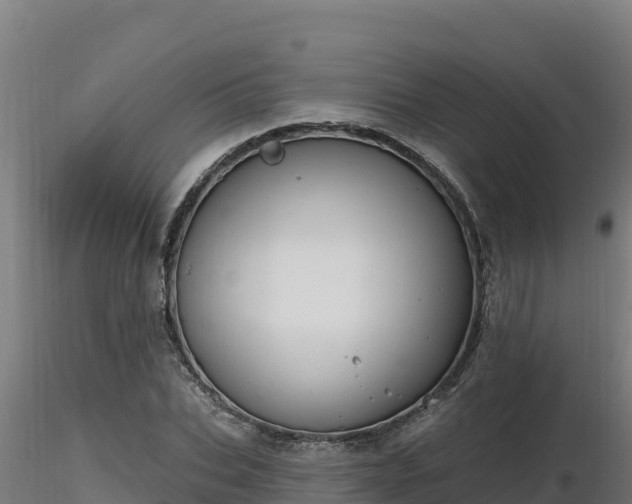 X0000116770927200912241200