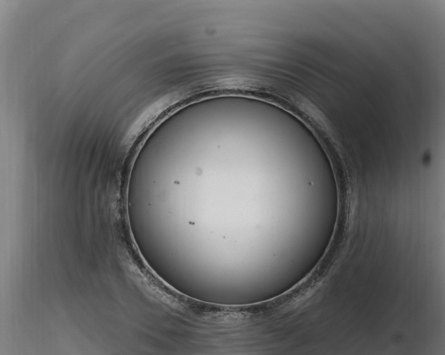 X0000116770930200912241200