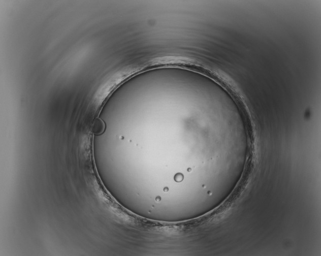 X0000116770937200912241200