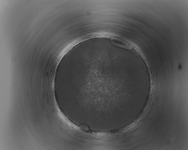 X0000116770946200912241200