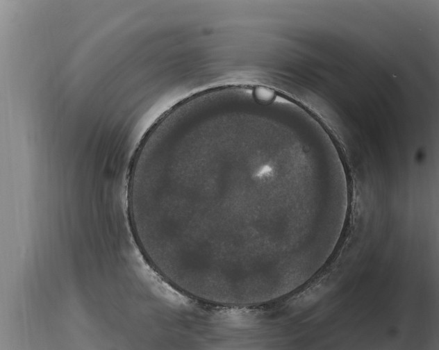 X0000116770950200912241200