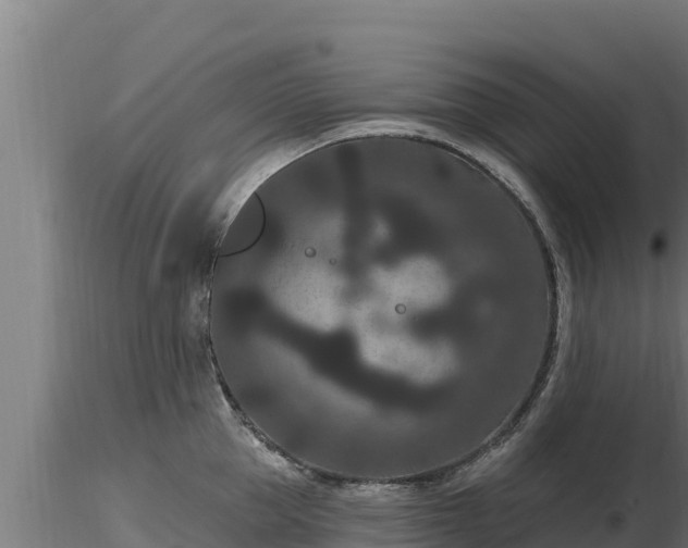 X0000116770953200912241200