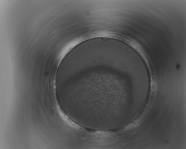 X0000116770954200912241201