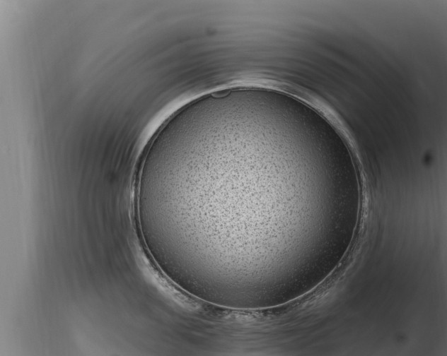 X0000116770955200912241201