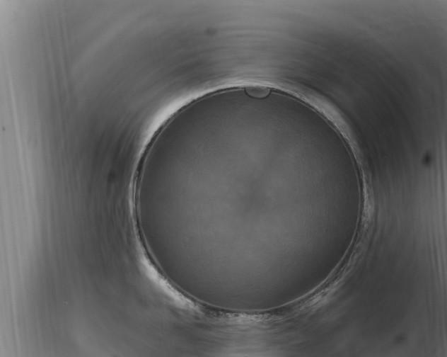 X0000116770958200912241201