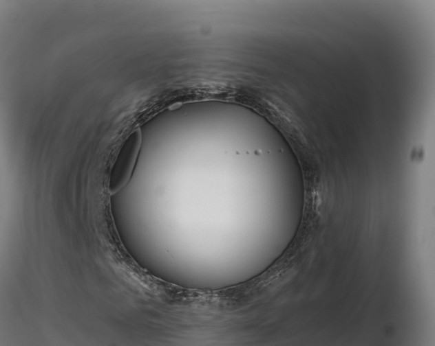 X0000116770961200912241200