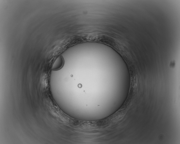 X0000116770962200912241200