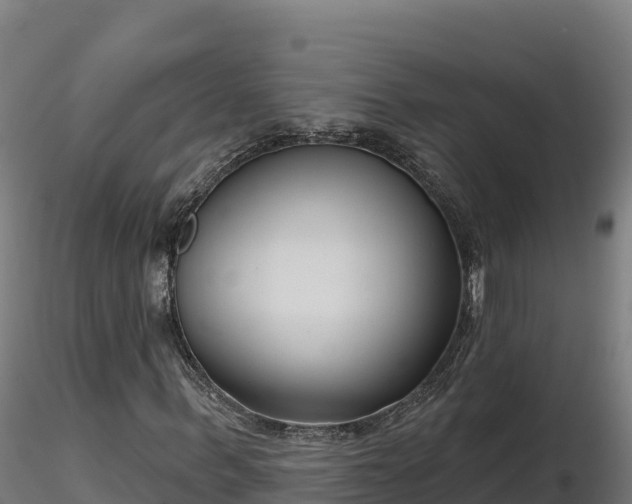 X0000116770963200912241200