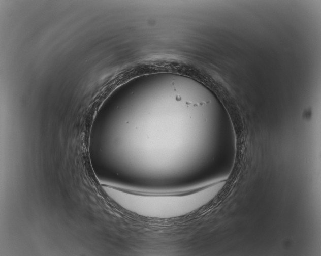X0000116770965200912241200