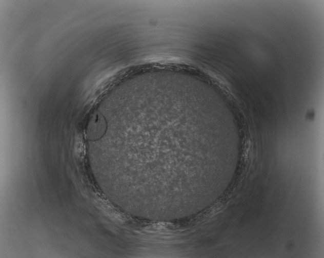 X0000116770966200912241200