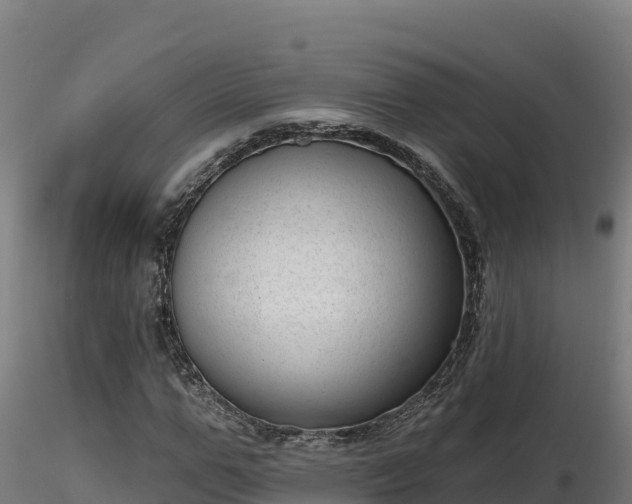 X0000116770967200912241200