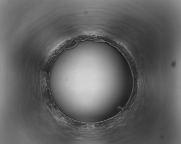 X0000116770968200912241200