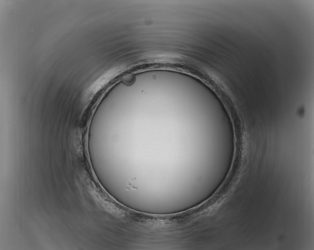 X0000116770970200912241200