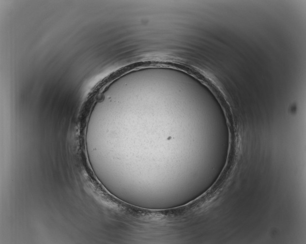 X0000116770971200912241200